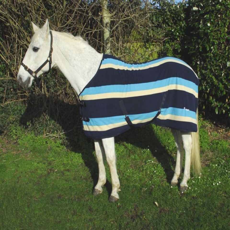 image 1 of Rhinegold Elite Fleece Rug Red | Colour: Burgundy Stripe
Size: 4ft 6