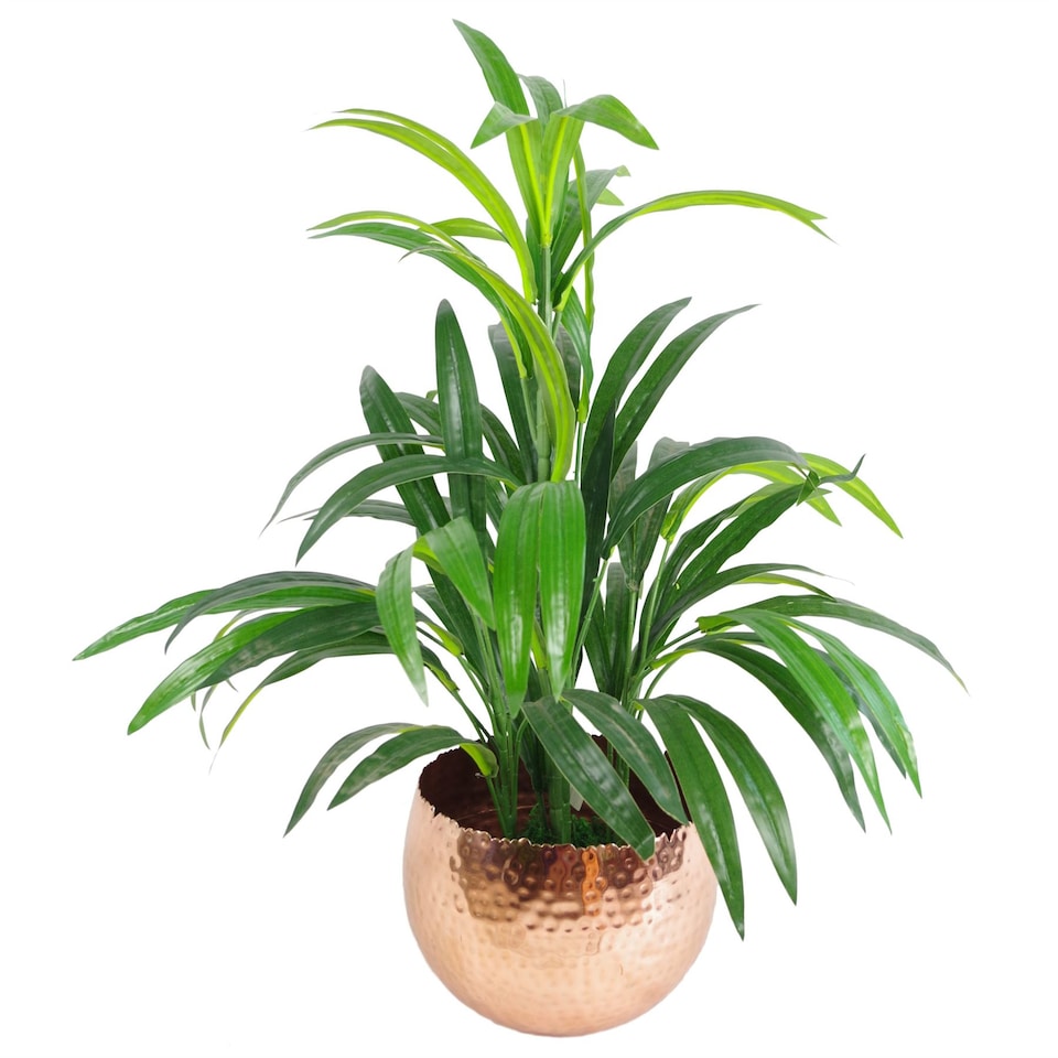 image 1 of Large Curved Edge Hammered Metal Planter 17cm Botanik | Copper