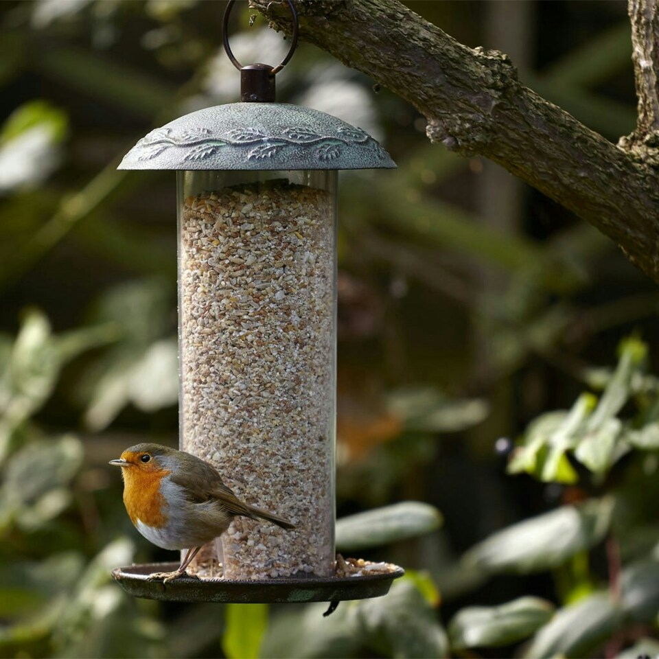 image 1 of Peckish Complete Bird Feed Mix Multi