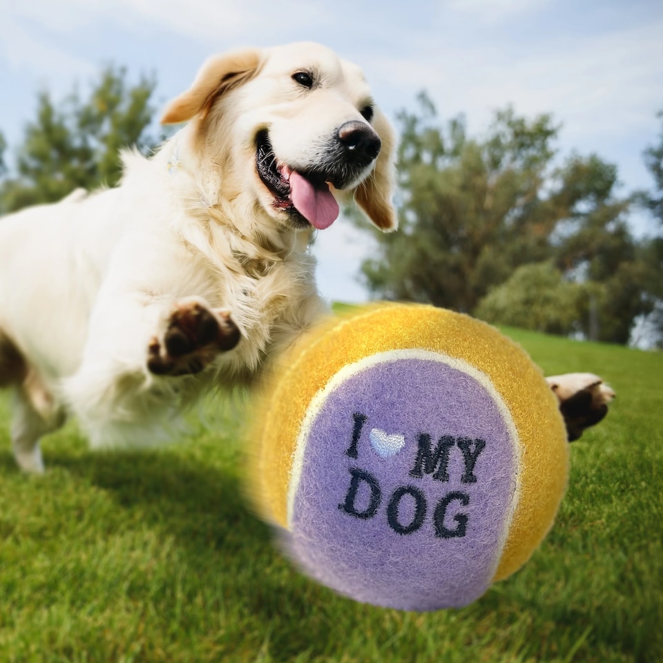image 1 of Pre-Personalised Dog Ball Gift Pack 2pcs Purple Maisie