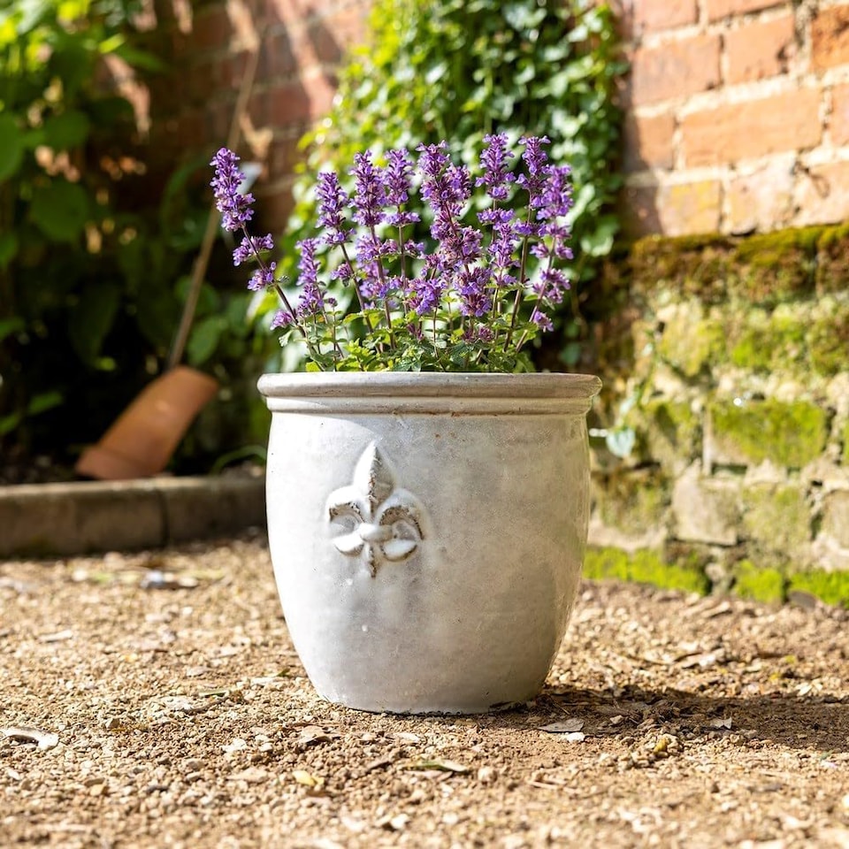 image 1 of Primrose Medium Stoneware Debossed Logo Round Planter In Cream 34cm