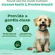 image 4 of TropiClean Fresh Breath Dog Teeth Cleaning Wipes 50pk