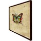 image 3 of Butterfly & paint splats (Picutre Frame) Grey | XS