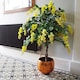 image 6 of Artificial 120cm Yellow Flowering Wisteria Tree