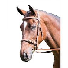 Avignon Hunter Leather Horse Cavesson Bridle - Oak Brown - X Full