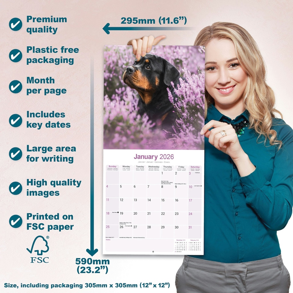 image 1 of Rottweiler 2026 Calendar | Square Wall Calendar | Dog Breed Gift | Plastic Free Packaging | by Avonside Publishing