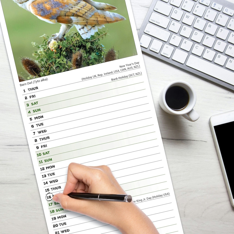 image 1 of Owls Slim 2026 Calendar | Slimline Wall Calendar | Bird Gift | Plastic Free Packaging | by Avonside Publishing [Calendar] Avonside Publishing Ltd