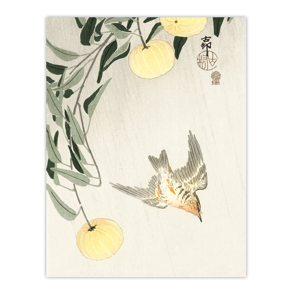 image 1 of Ohara Koson Framed Wall Art Print Cuckoo In Early Summer Rain Home Décor