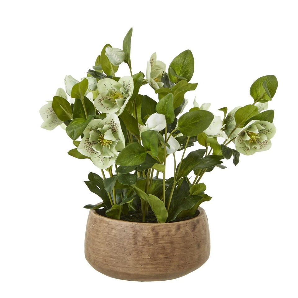 image 1 of Hill Interiors Hellebore Artificial Potted Plant - Green/Taupe - 85cm x 52cm x 52cm
