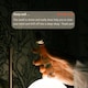 image 5 of Slow Jam | Evening Pulse Point Oil for Calmer Sleep