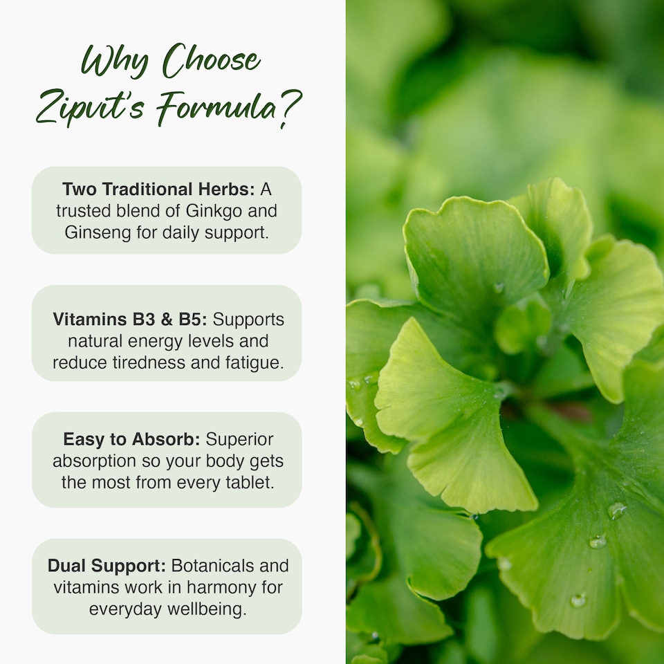 image 1 of Zipvit Ginkgo Biloba 6000mg & Siberian Ginseng 600mg with Vitamin B3 & B5, Energy & Mental Performance, 120 Vegan Tablets, 4-Month Supply