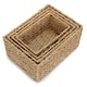 image 8 of Small Thatch Grass Woven Storage Basket | Green | Green