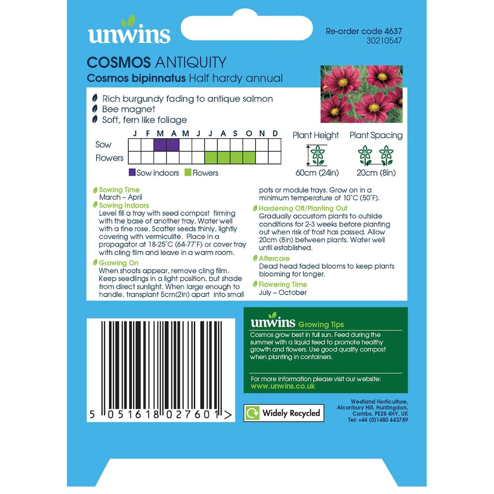 image 1 of Unwins Cosmos Seeds 'Antiquity' - Two-Tone Pink and Red Flower 30 Seeds
