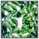 image 1 of Tropical palm (Picutre Frame) Grey | XL