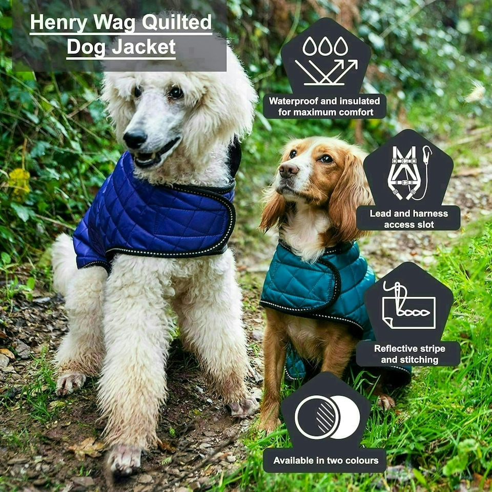 image 1 of Henry Wag Quilted Dog Jacket