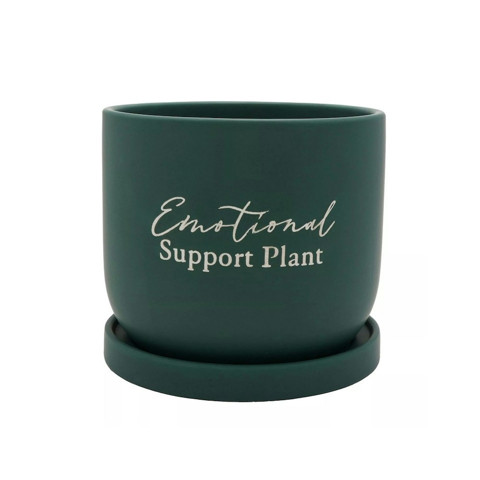 Country Living Ceramic Plant Pot Emotional Support Plant | Green | 1