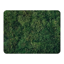 Natural green moss (Blanket)