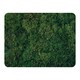 image 1 of Natural green moss (Blanket)