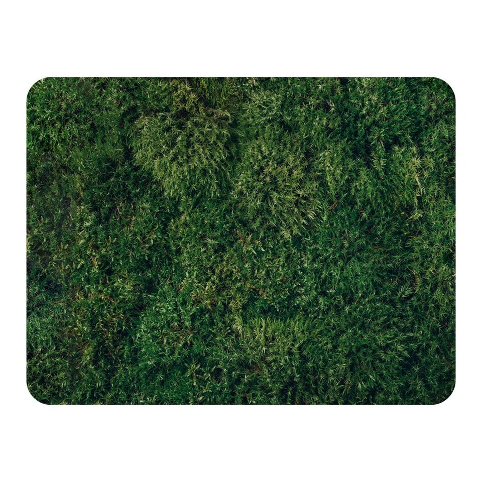 image 1 of Natural green moss (Blanket)