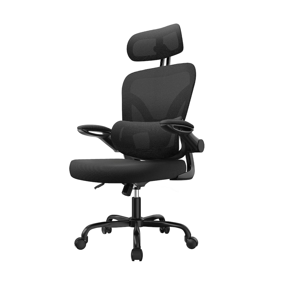 image 1 of Rattantree Ergonomic Office Chair Dual Backrest Mesh Computer Chair