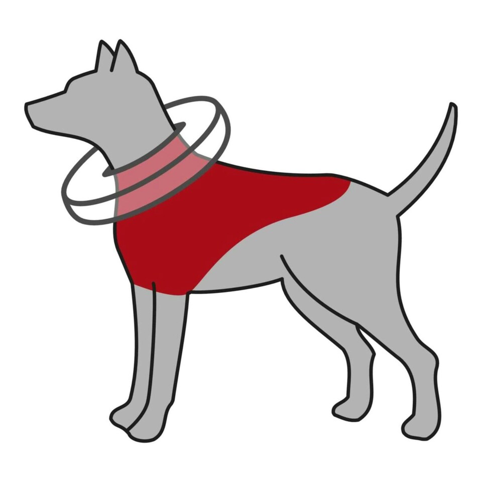 image 1 of Trixie Protective Inflatable Dog Collar - L-XL