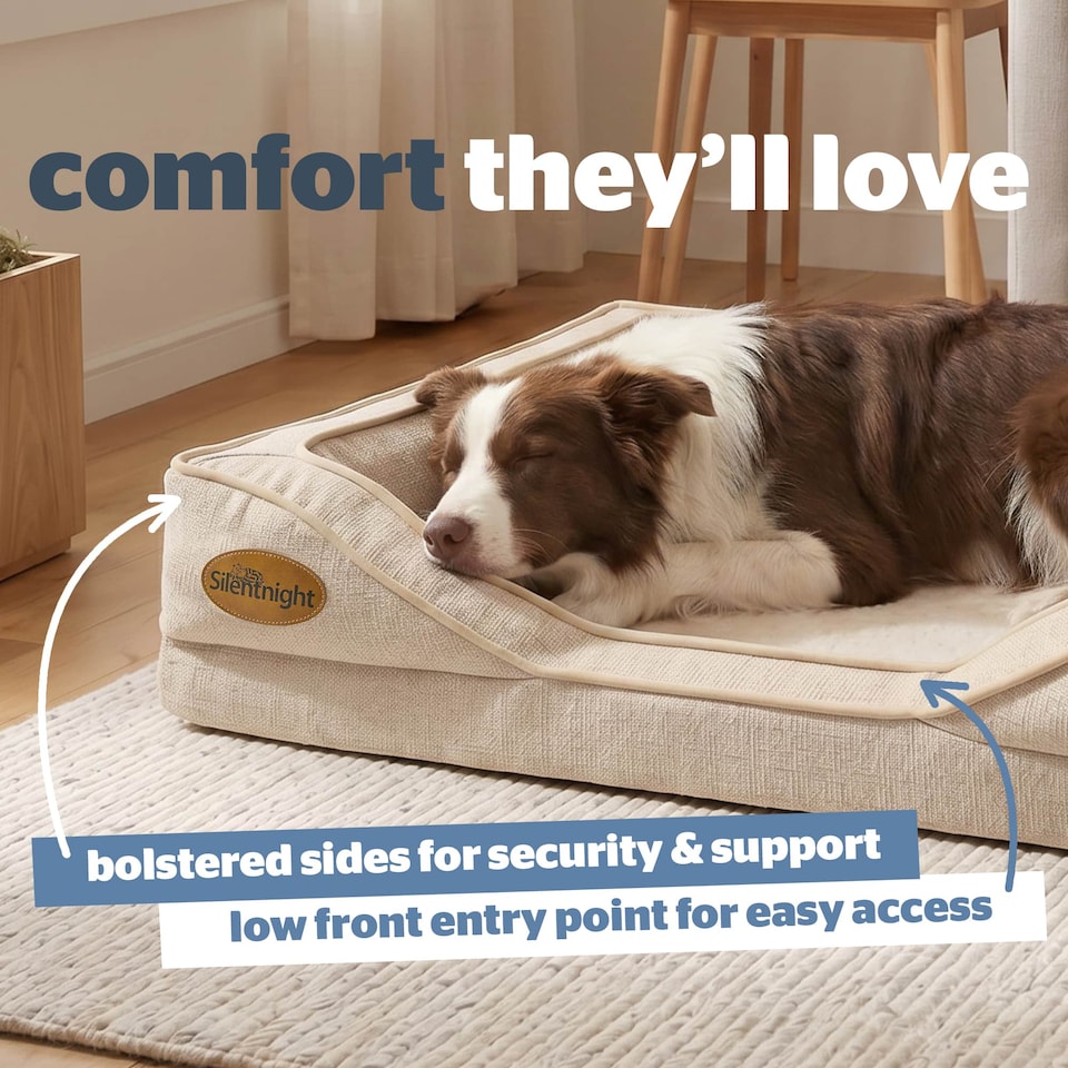 image 1 of Silentnight Orthopaedic Pet Bed