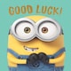 image 3 of Despicable Me Good Luck Card