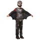 image 1 of How To Train Your Dragon Boys Deluxe Hiccup Battlesuit Costume - Black/Grey - 9-10 Years 9