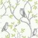 image 1 of Fine Decor Owl Wallpaper - Green/Cream/Grey - 32.9ft x 20.5in Green