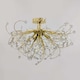 image 5 of Set of 2 Burst - Polished Brass with Beaded Jewels Ceiling Lights