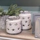 image 2 of Hill Interiors Bloomville Stone Star Candle Lantern - Stone - 23cm x 18cm x 18cm
