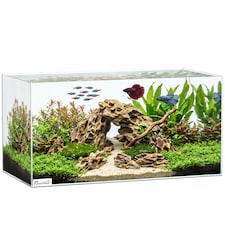 PawHut 51L Fish Tank with Protective Base Mat 60 x 30 x 30 cm