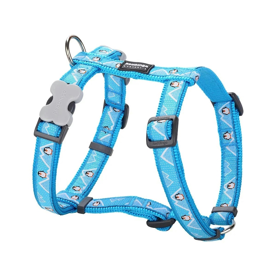 image 1 of Dog H-Harness Design Penguin Turquoise Blue | L