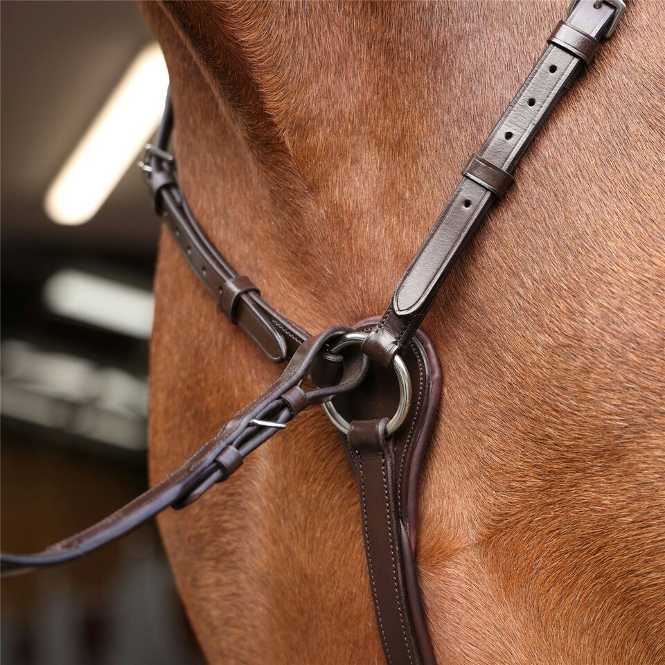 image 1 of Velociti Rapida Elastic Breastplate Brown | Size: X-Full
Colour: H.Brown