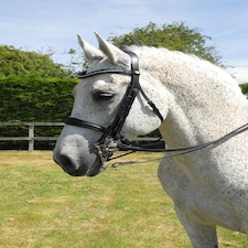 Rhinegold Anatomic Double Bridle Brown | Size: Cob
Colour: H.Brown
