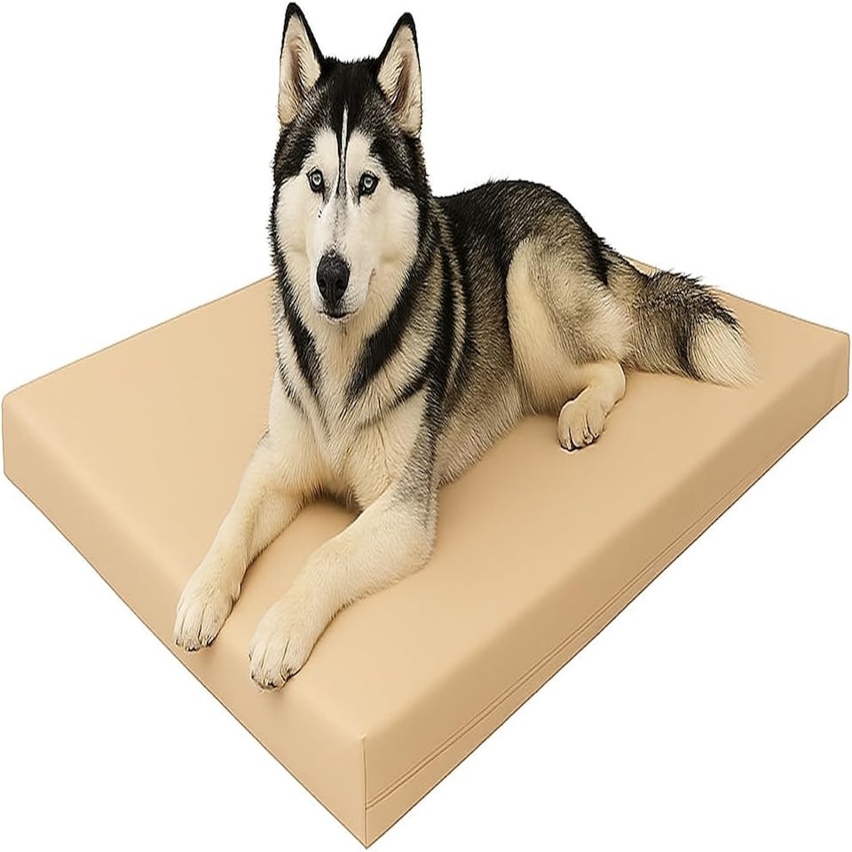 image 1 of Large Dog Pet Bed Mat Water Resistant Removable Cover 5cm Thick Mattress Brown | Brown | Beige | L