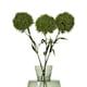 image 3 of Hill Interiors Dianthus Artificial Plant - Dark Green - 53cm