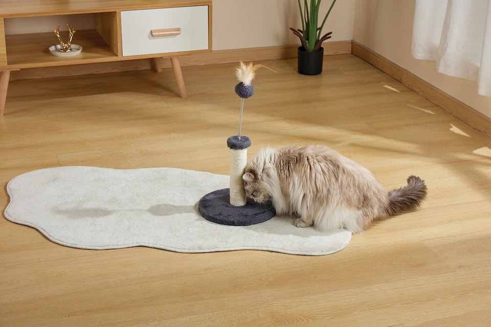 image 1 of M-PETS My First Cat Tree Feather Dark Grey