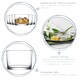 image 2 of LAV Bodega Whisky Glasses - 240ml - Clear - Pack of 6 | Clear | Clear