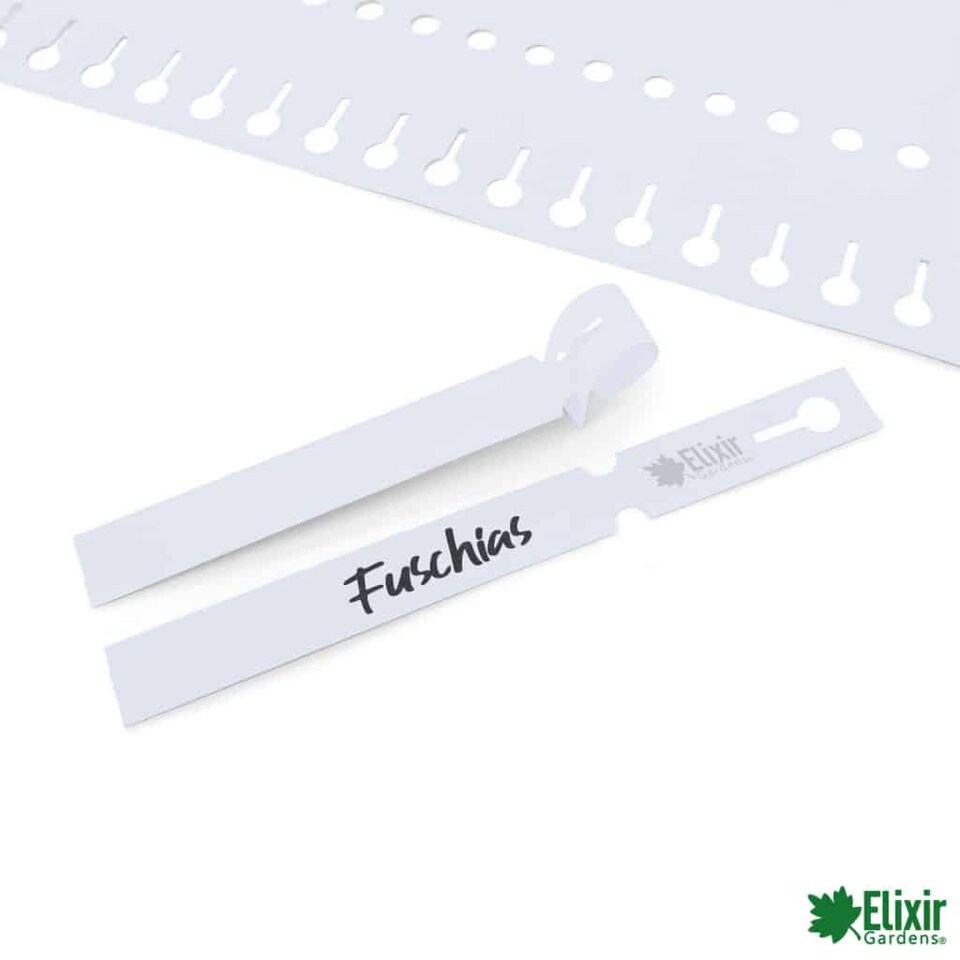 image 1 of Elixir Gardens Loop Lock Plant Label | WHITE | 220mm x 25mm (x 400)