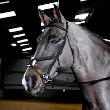Whitaker Ready To Ride Mexican Oiled Leather Horse Bridle - Black - X Full