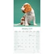 image 3 of Cavalier King Charles Spaniel 2026 Calendar | Square Wall Calendar | Dog Breed Gift | Plastic Free Packaging | by Avonside Publishing