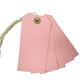 image 6 of Box of 1000 Light Pink Strung Tags 120mm x 60mm