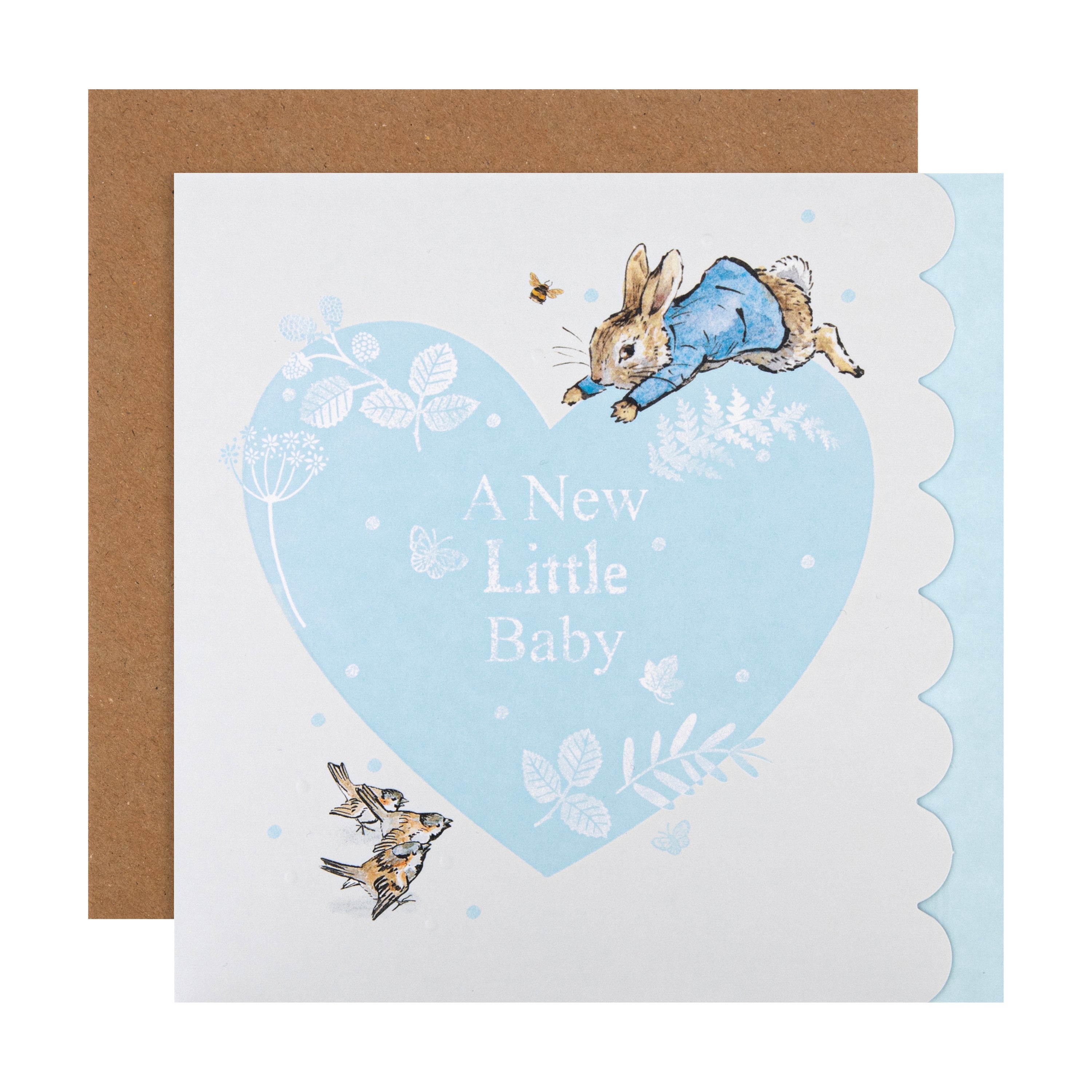Hallmark New Baby Boy Card - Beatrix Potter's Peter Rabbit Design