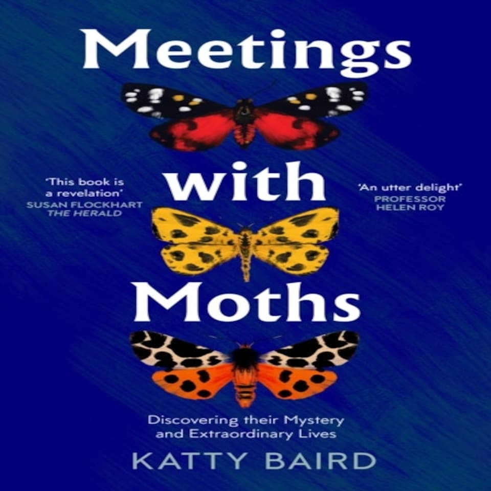 Meetings With Moths