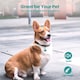 image 3 of AirTag Holder & Collar for Pets GPS Tag & App with Smart QR ID