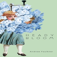Hole In The Headscape
