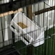 image 8 of PawHut 2 In 1 Large Bird Cage Aviary with Wheels, Slide-out Trays Wood Perches