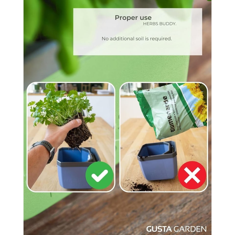 image 1 of GUSTA GARDEN Herbs Buddy Self-Watering Pot & Herb Pot for Kitchen & Windowsill, Ideal for Basil, Water Tank, Water Level Indicator (3 units - Blue)