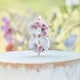 image 2 of Pressed Petal Number 8 Shaped Candle